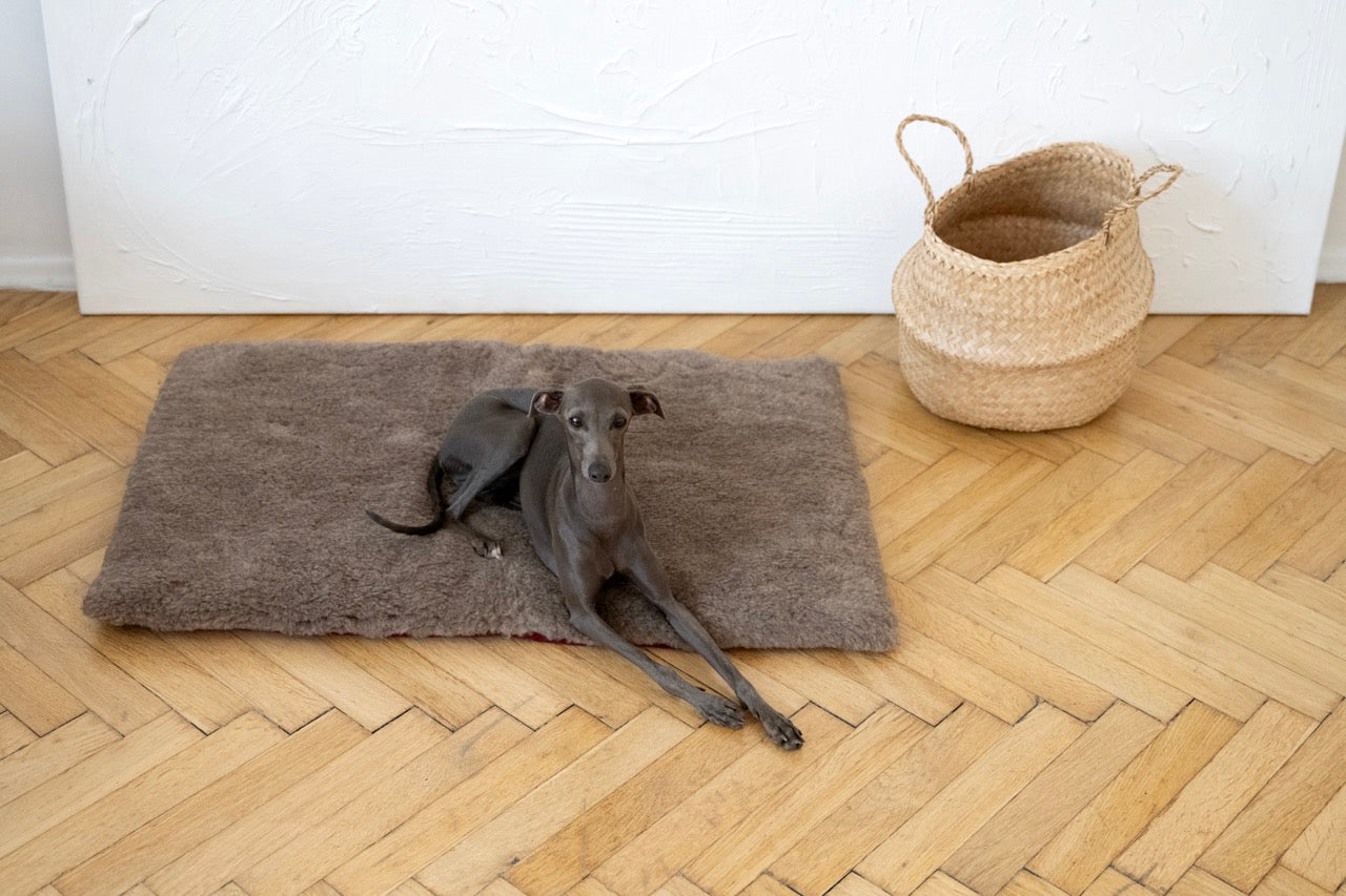 Square or Rectangular Natural Woolen Pet Mat - Beige-1