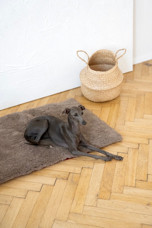 Square or Rectangular Natural Woolen Pet Mat - Beige-0